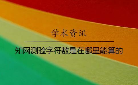 知網測驗字符數是在哪里能算的？